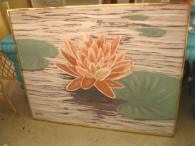 Water Lily 