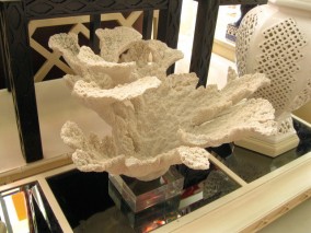 Large Piece of Coral