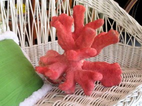 Large Piece of Coral