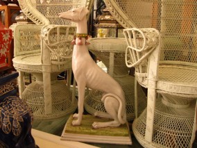 Greyhound
