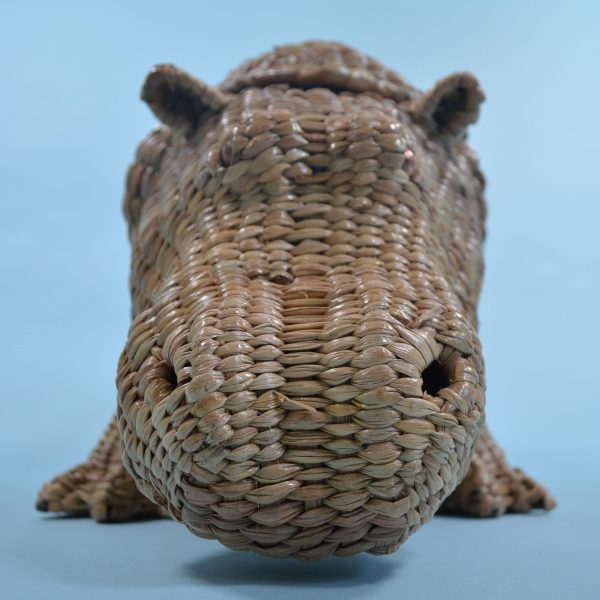 Small Hippopotamus Mario Lopez Torres - Image 8