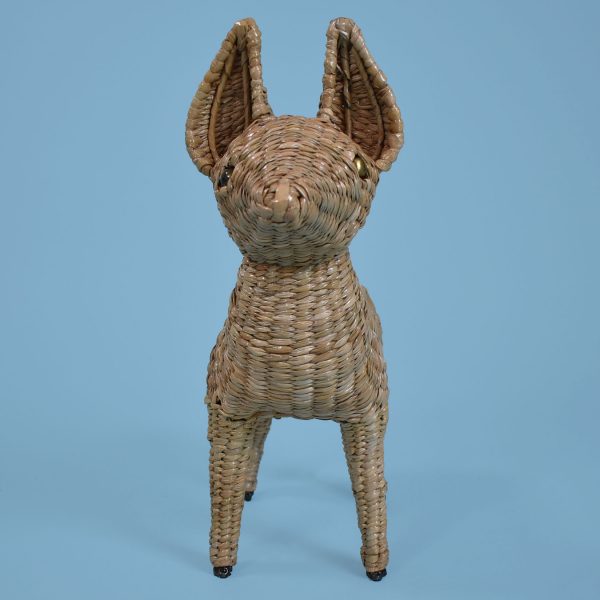 Chihuahua by Mario Lopez Torres - Image 2