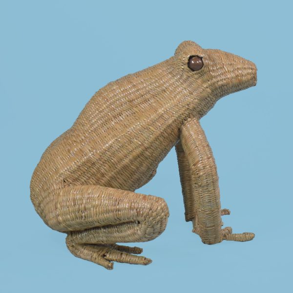 Frog Figure by Mario Lopez Torres