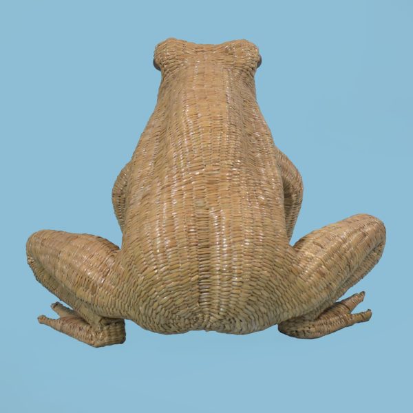 Frog Figure by Mario Lopez Torres