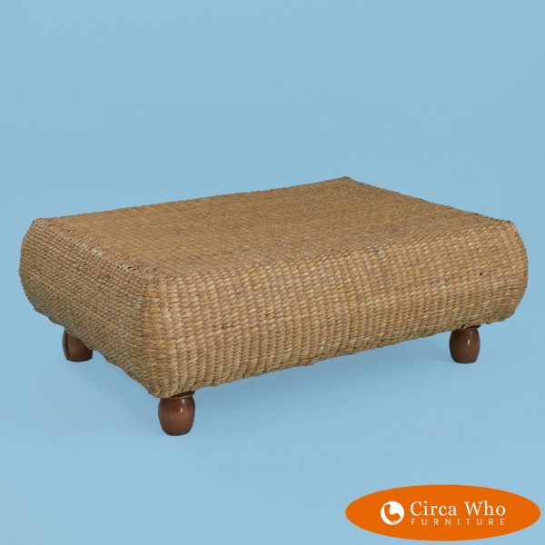 Large Ottoman by Mario Lopez Torres