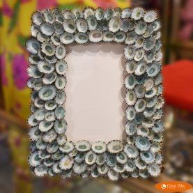 Limpet Shell Picture Frame