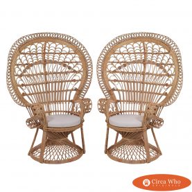 Pair of Peacock Classic Chairs