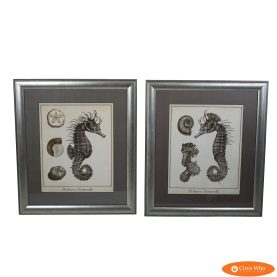 Pair of Seahorse Vintage Art