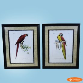 Pair of Vintage Macaw Art