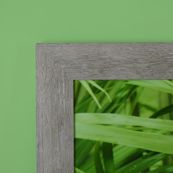 Palm Leave Photography