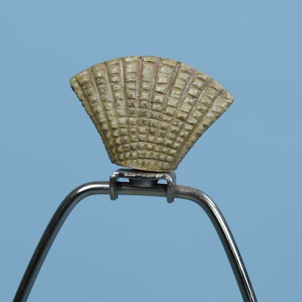 Plaster Shell Lamp J065