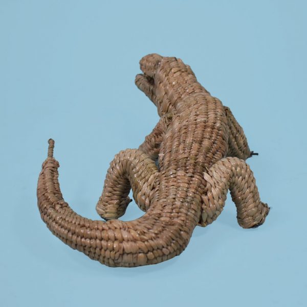 Small Alligator by Mario Lopez Torres