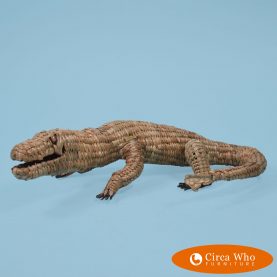 Small Alligator by Mario Lopez Torres