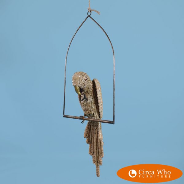 Small Macaw on a Swing by Mario Lopez Torres