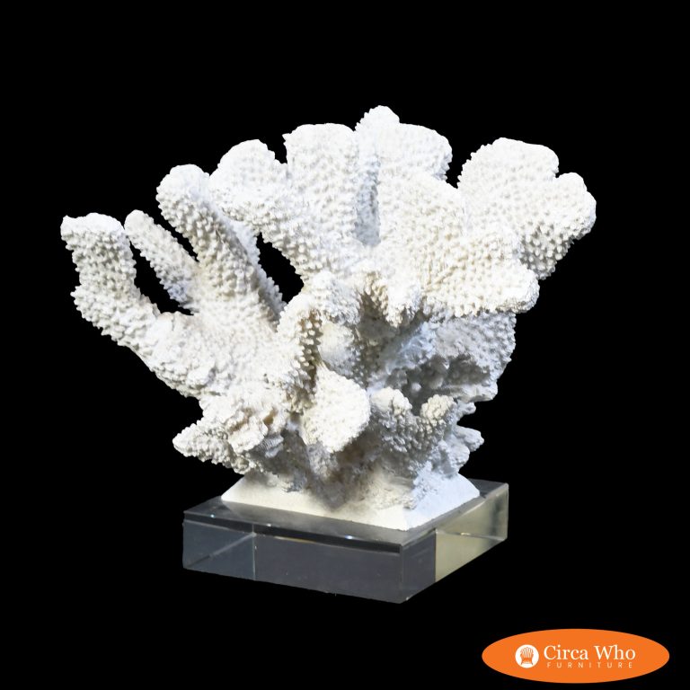 Vintage Coral on Lucite