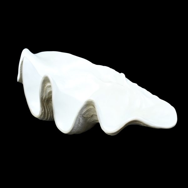 Vintage Decorative Clam Shell - Image 2