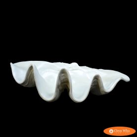 Vintage Decorative Clam Shell