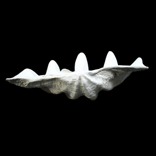 Vintage Decorative Clam Shell - Image 5