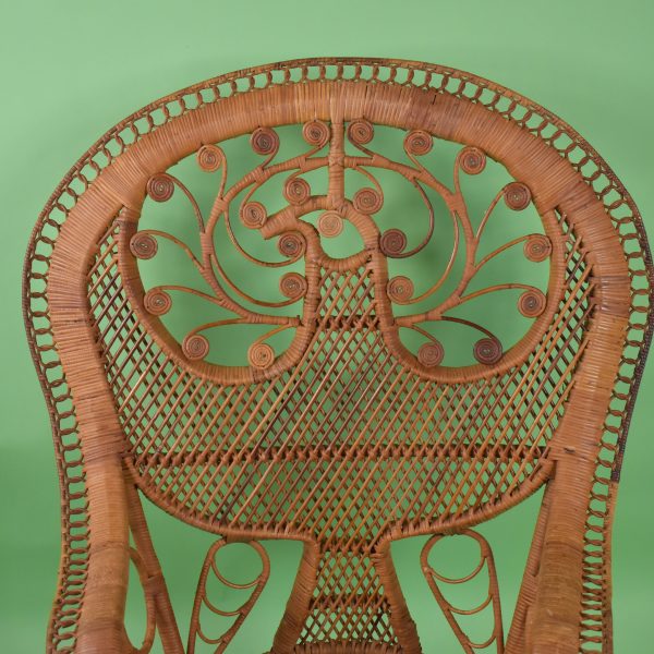 Vintage Peacock on a Peacock Chair