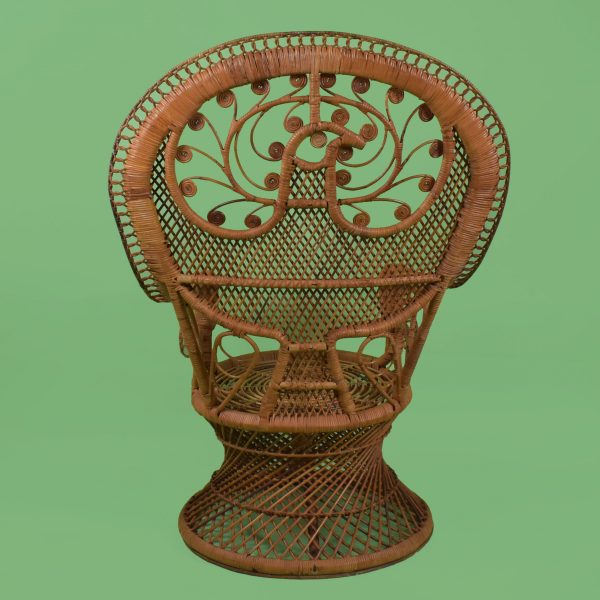 Vintage Peacock on a Peacock Chair
