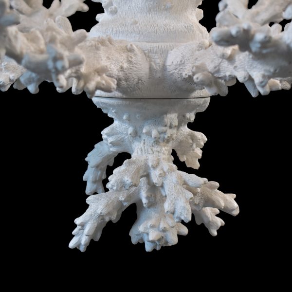 White Ceramic Reef Chandelier